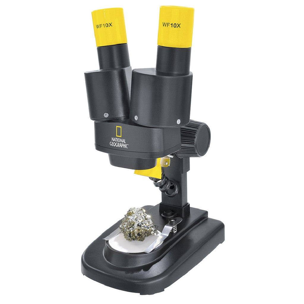 Microscopio Stereo .