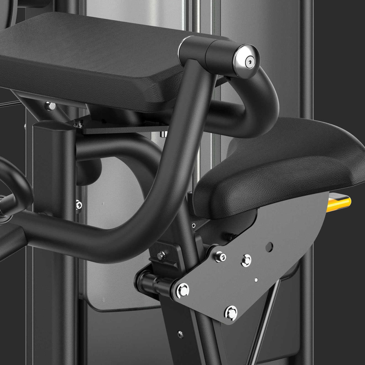 PLX-8600 BICEPS CURL
