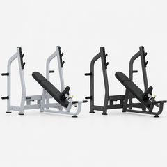 Panca Inclinata Olimpica Professionale WBX-3800-1