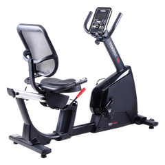 BRX RECUMBENT 300