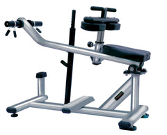 WBX-3000 CALF RAISE