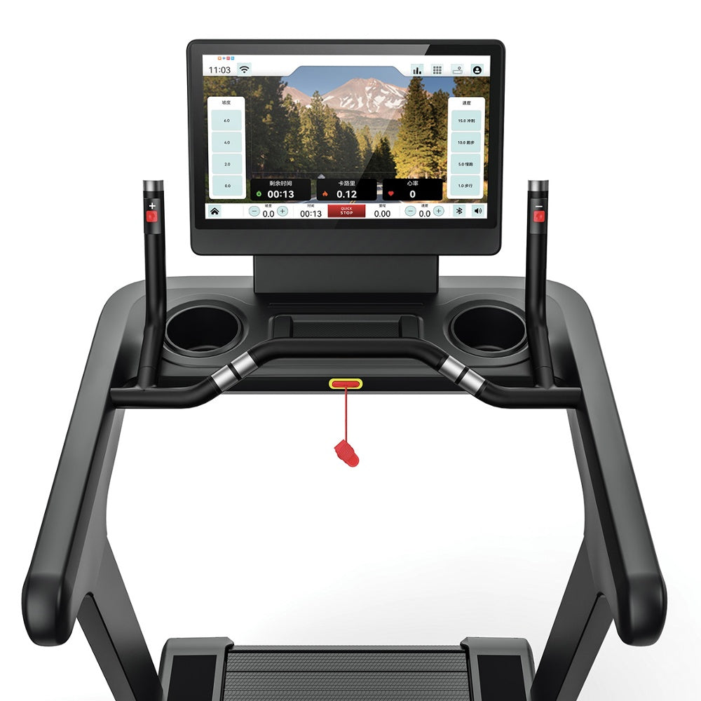 Tapis Roulant Professionale TRX-9500CROSSTFT-6