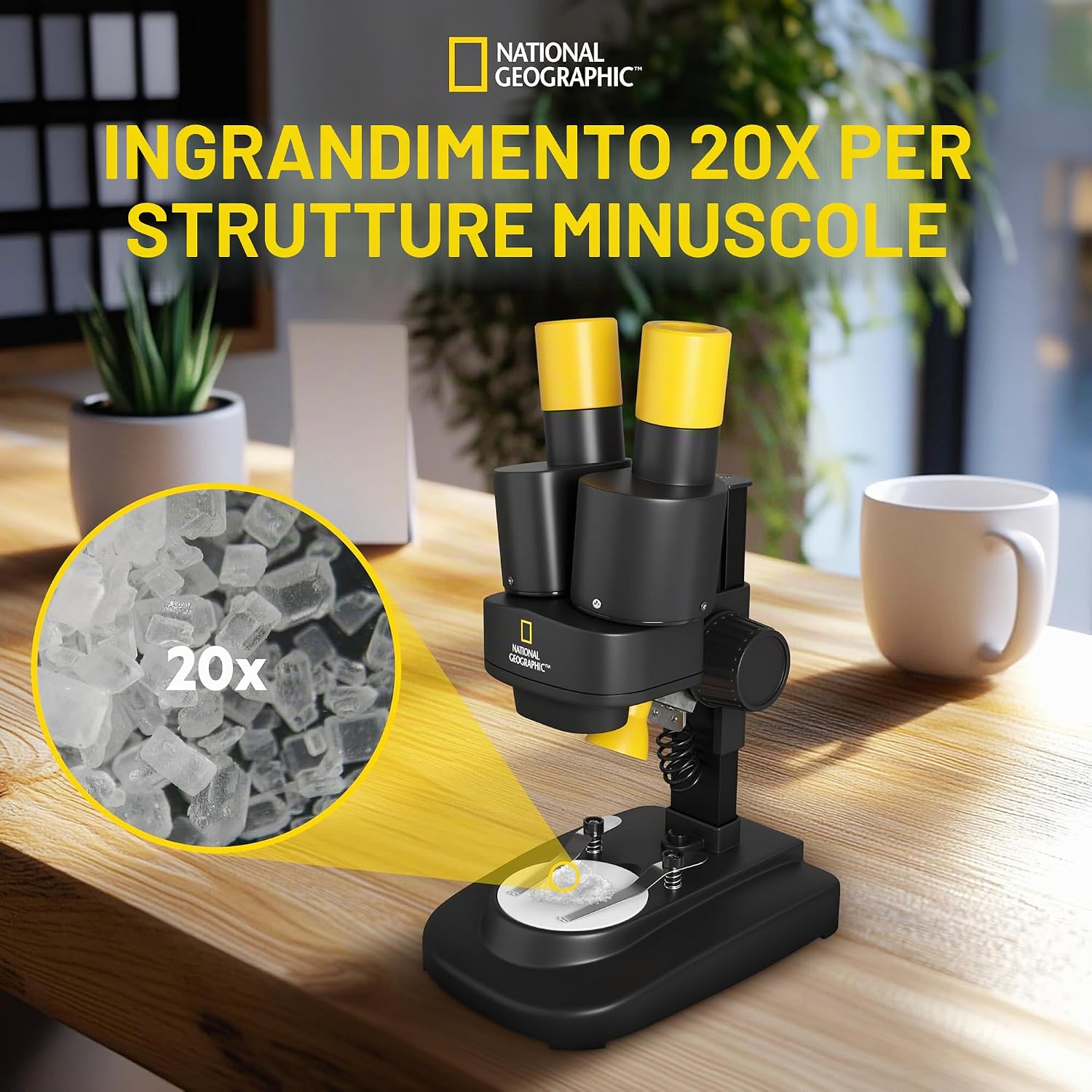 Microscopio Stereoscopico National Geographic 20x-3