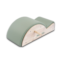 Spine Corrector Professionale PTX 1700-5