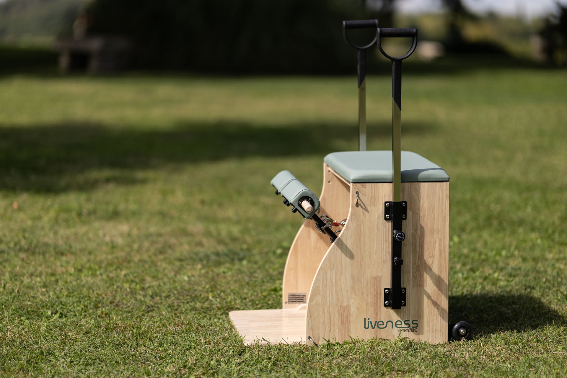 Wunda chair in legno di quercia PTX 1800 Green Tea-5