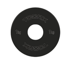 Coppia dischi microcarichi in acciaio 0,25 kg-3