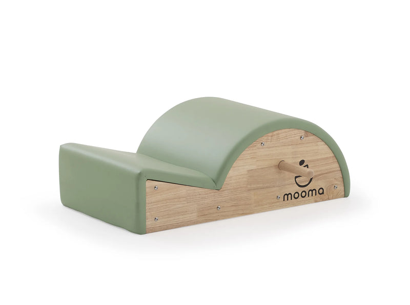 Pilates Spine Corrector Professionale-2