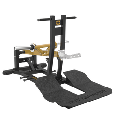 FWX-10200 BELT SQUAT