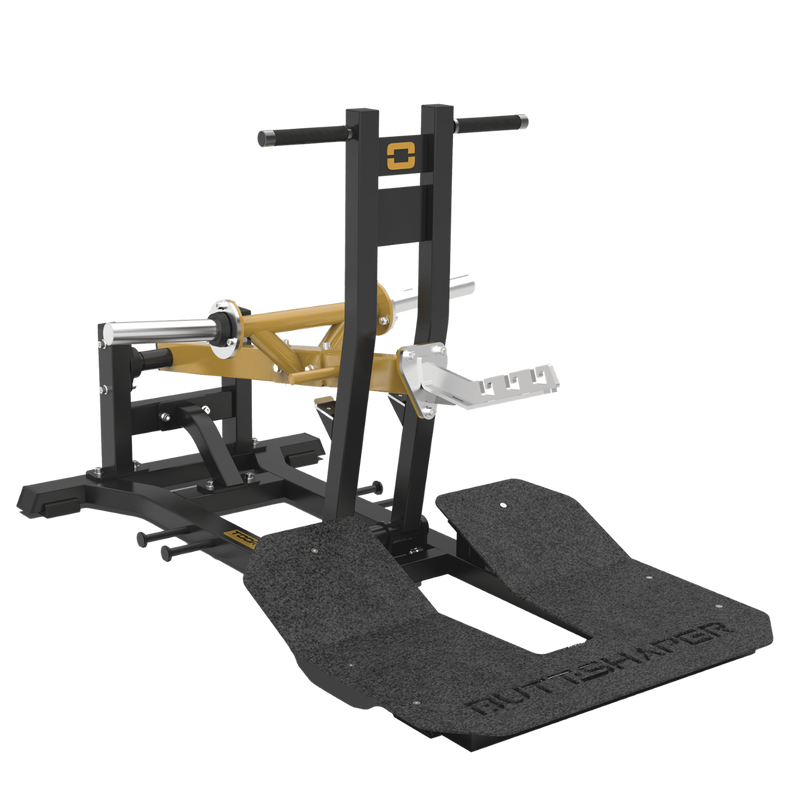 FWX-10200 BELT SQUAT
