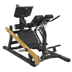 FWX-10500 DUAL HYPER EXTENSION