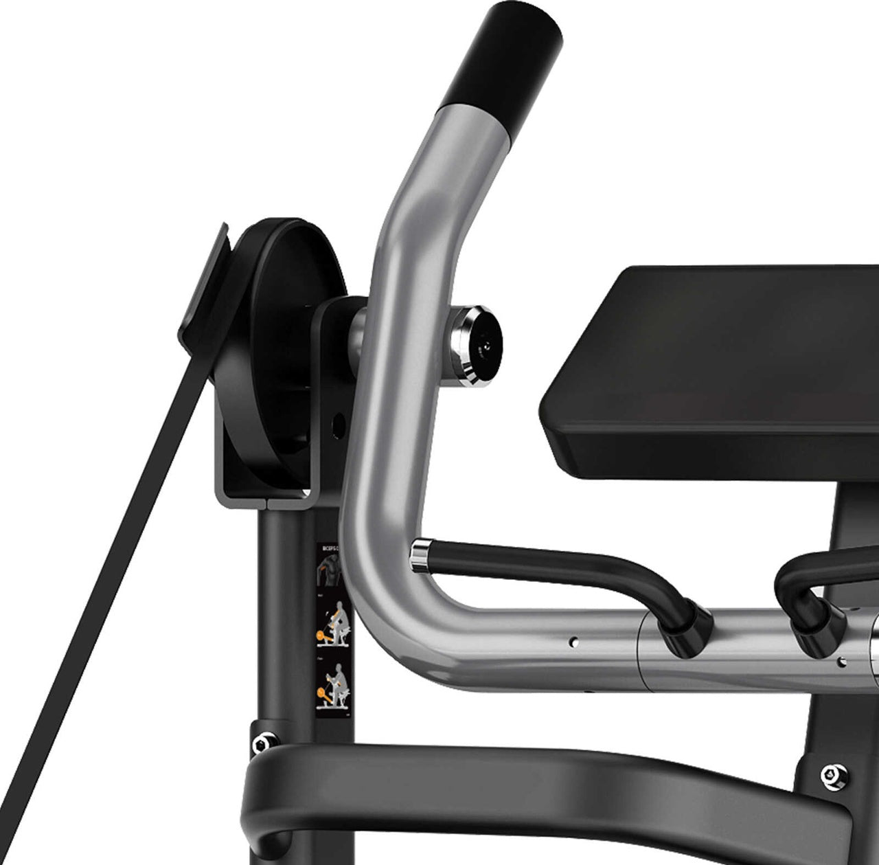 FWX-8600 BICEPS CURL