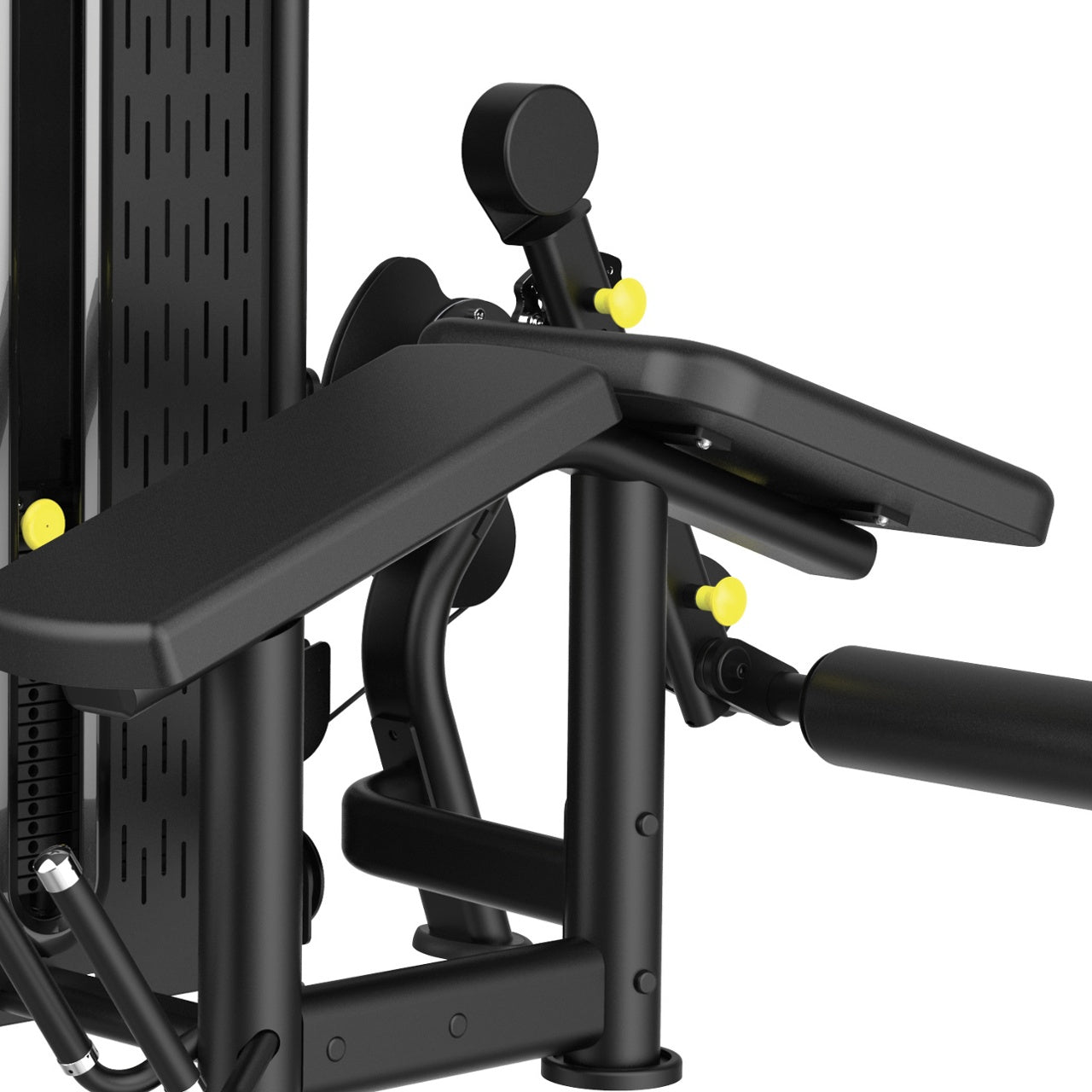 PLX-4300 PRONE LEG CURL
