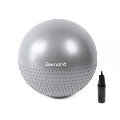 GYM BALL PRO Ø 55 cm GB55-P