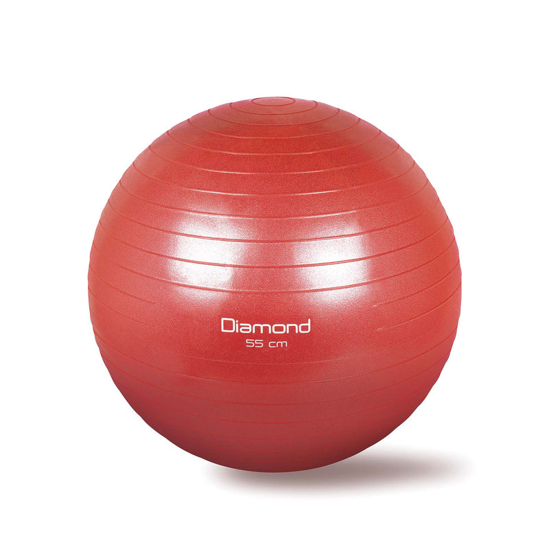 GYM BALL Ø CM55 GB55