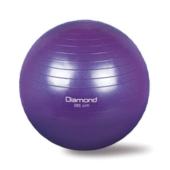 GYM BALL VARI DIAMETRI DA  Ø CM55 A Ø CM85-4