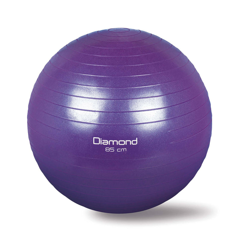 GYM BALL VARI DIAMETRI DA  Ø CM55 A Ø CM85-4