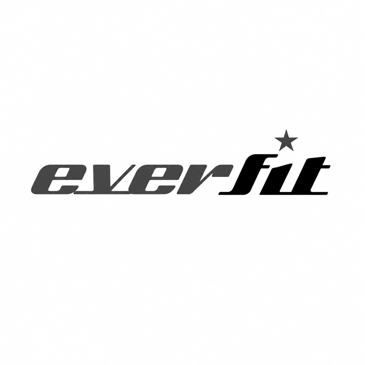 Logo Everfit
