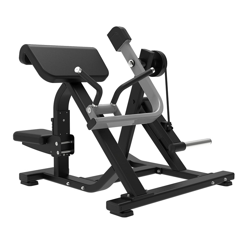 SEATED BICEPS CURL