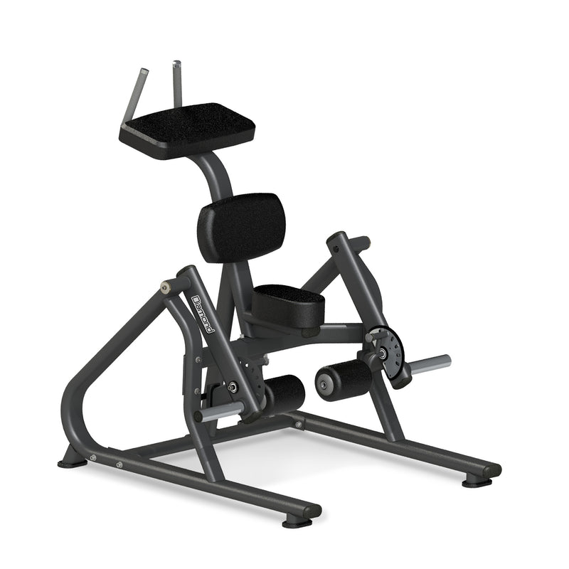 STANDING LEG CURL