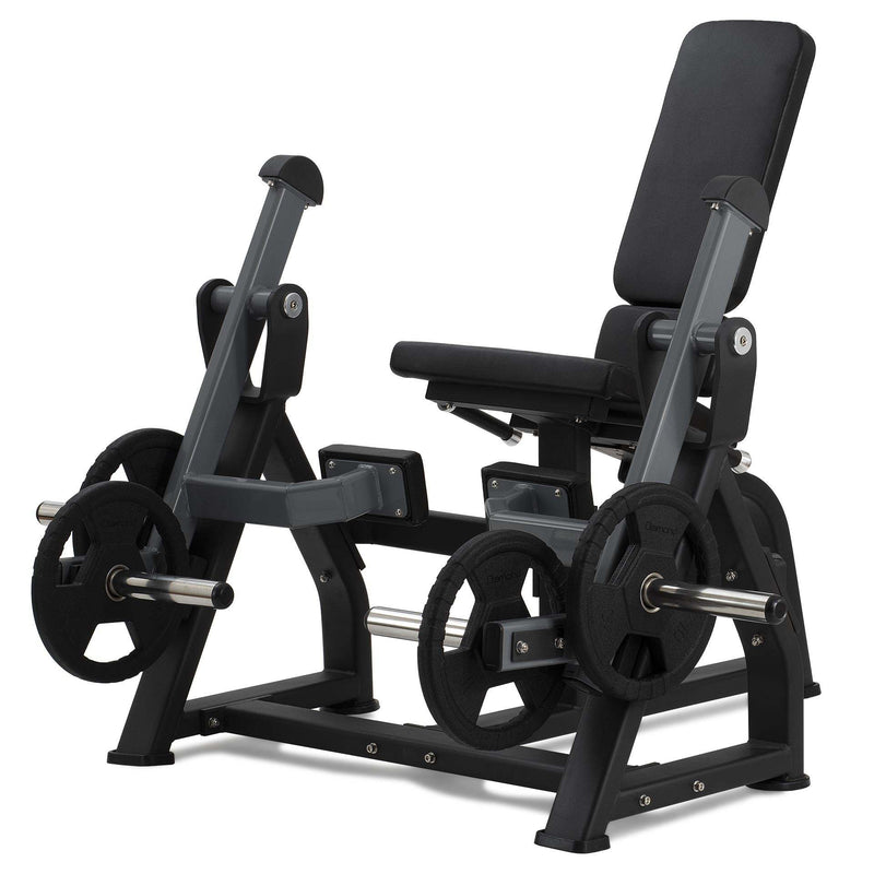 LEG EXTENSION