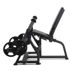 LEG EXTENSION