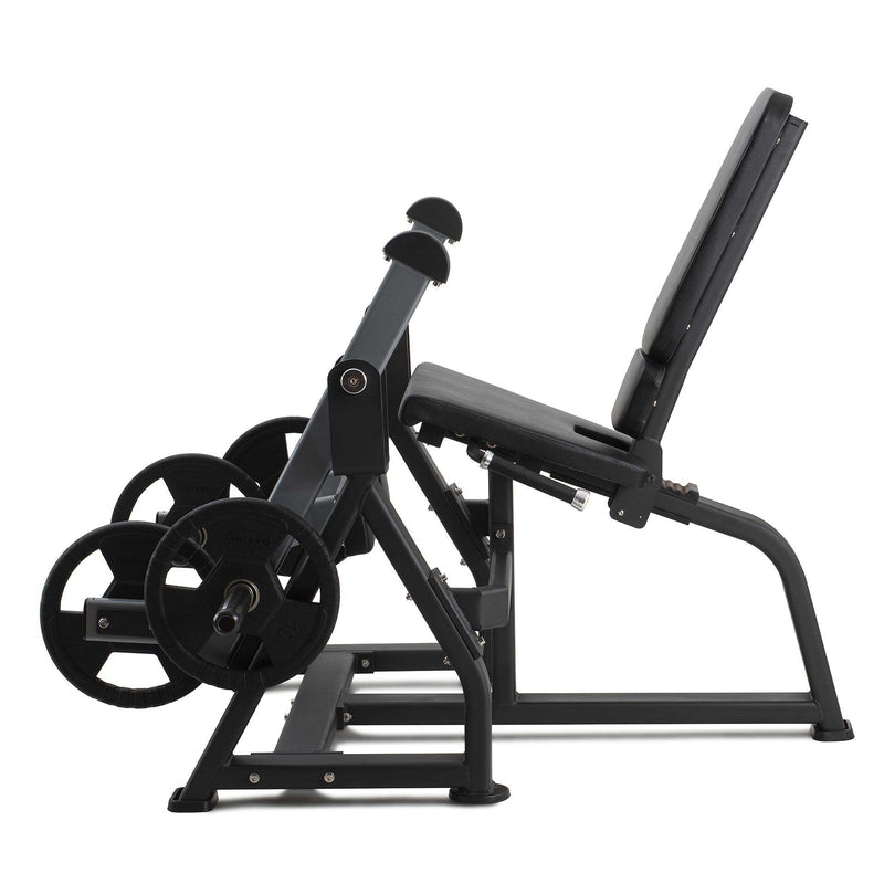 LEG EXTENSION