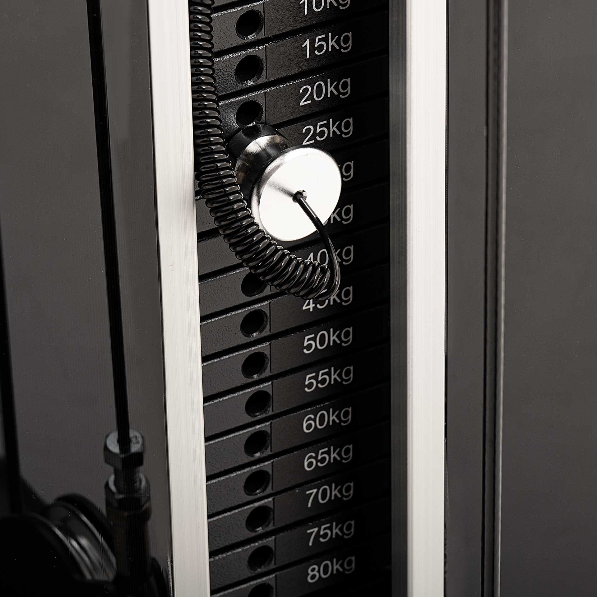 S550 PECTORAL FLY / REAR DELTOID
