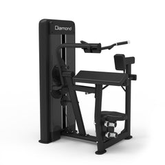 S550 COMBO BICEPS/TRICEPS MACHINE