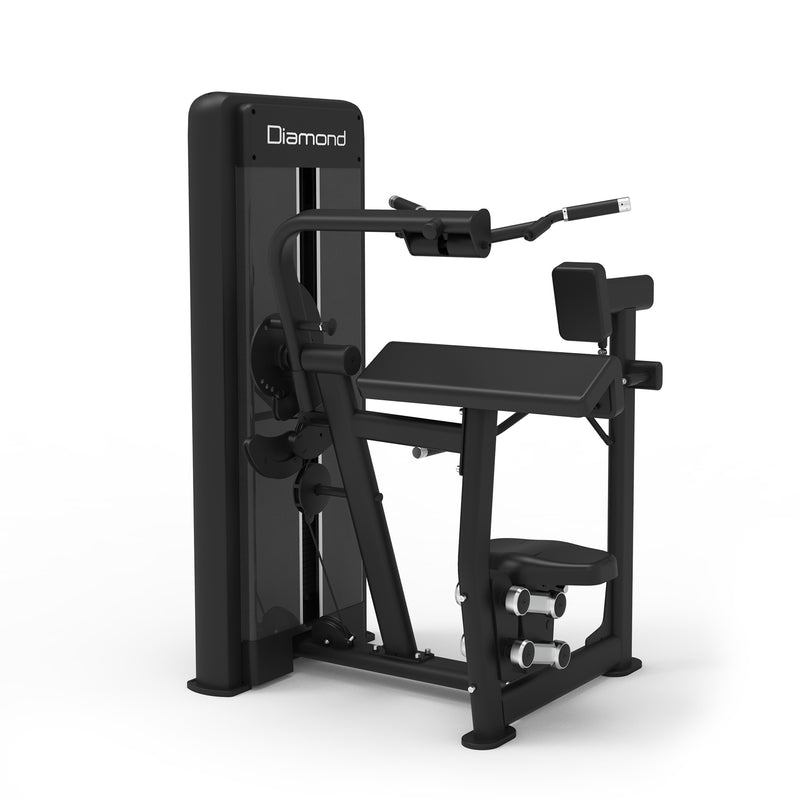 S550 COMBO BICEPS/TRICEPS MACHINE