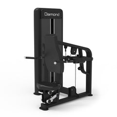 S550 TRICEPS DIP