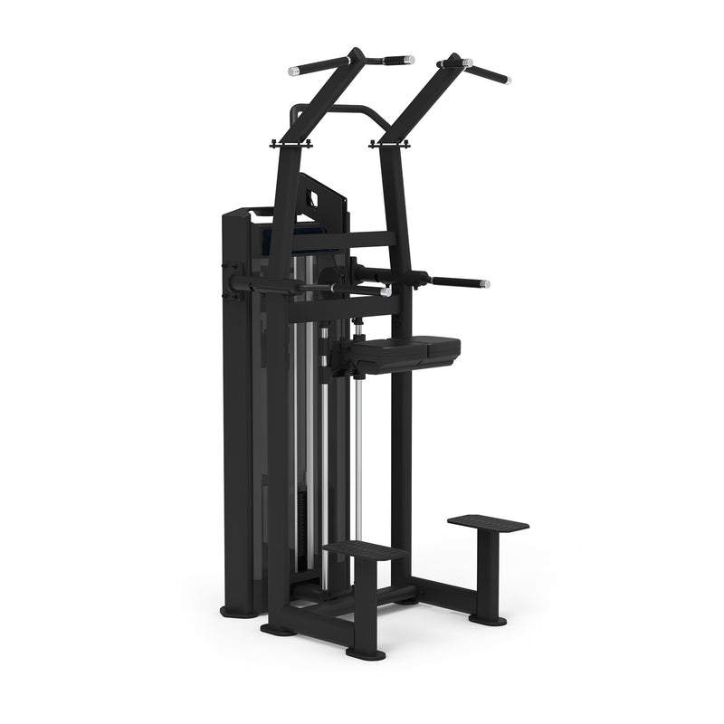 S650 CHIN UP / DIP
