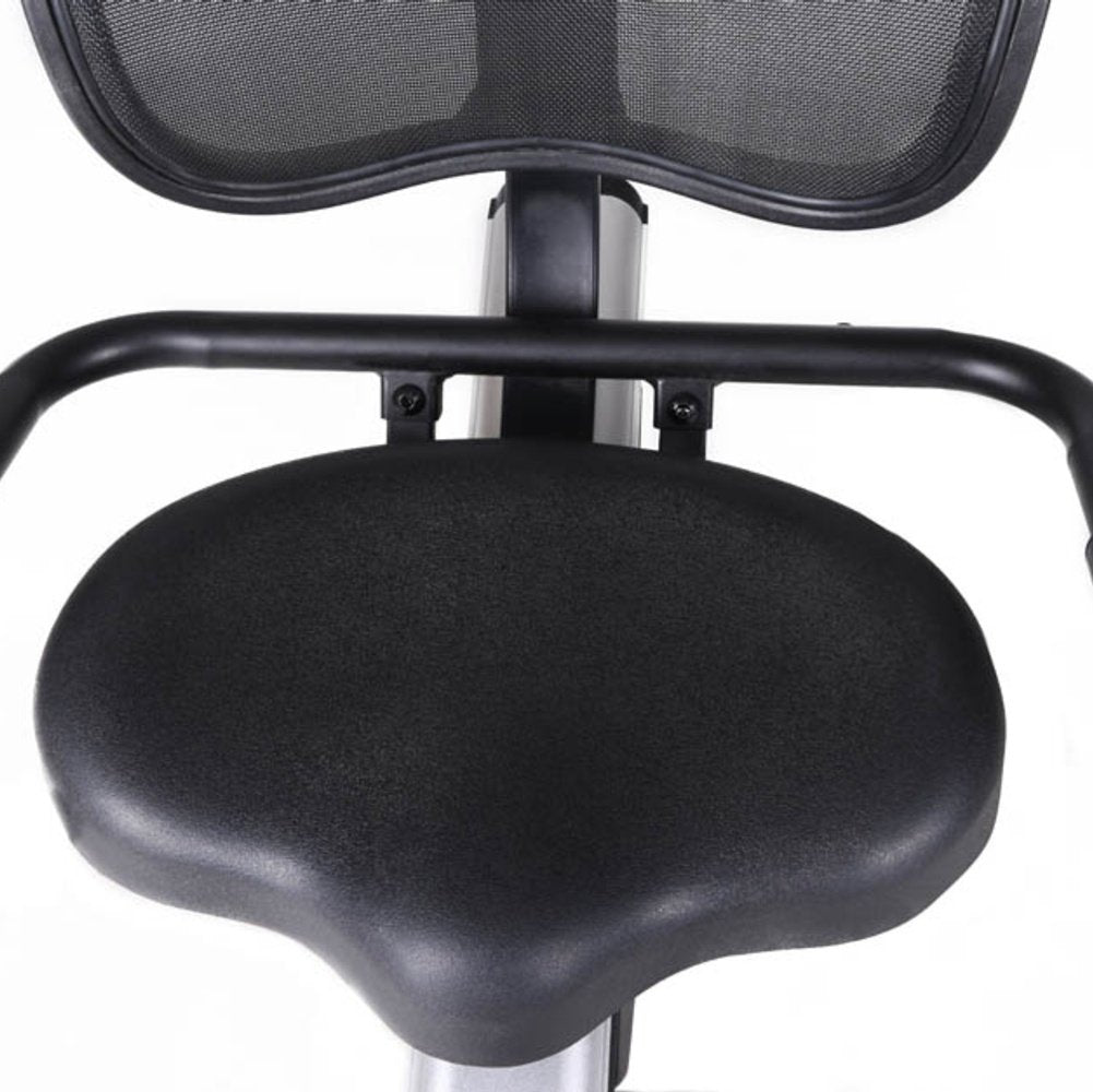 BRX RECUMBENT 300