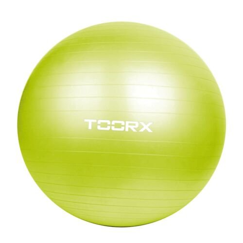 gym ball 55 cm 65cm 75 cm toorx ahf 012