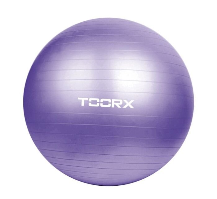 gym ball toorx o55 cm o65 cm e o75 cm pompa inclusa AHF 013