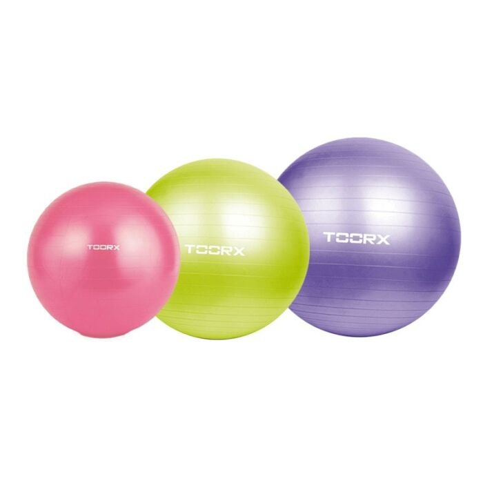 gym ball toorx o55 cm o65 cm e o75 cm pompa inclusa tutte